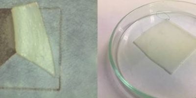 Trimming of pericard using erbium laser (left) and femtolaser technology (right)